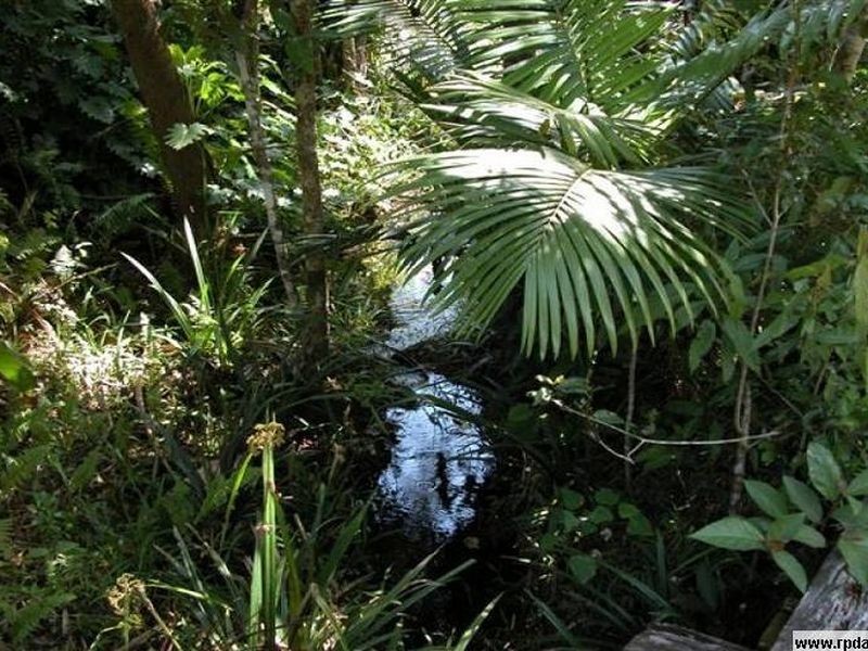 515 East Feluga Road, East Feluga QLD 4854