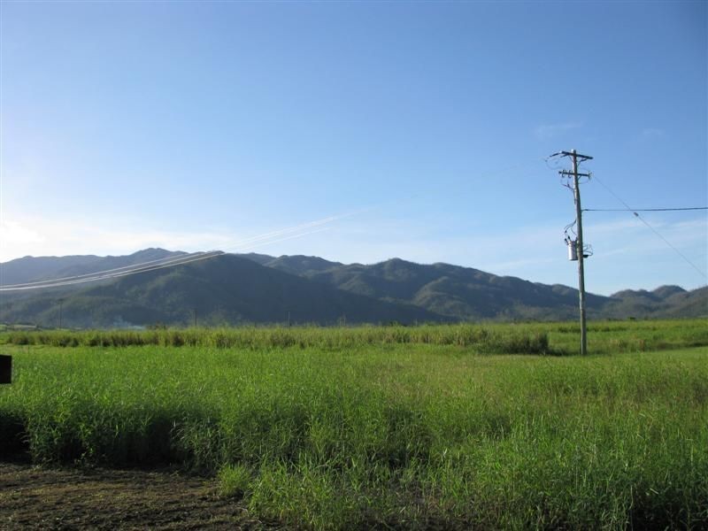 L114 Crossan Road, Midgenoo QLD 4854