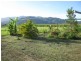 L114 Crossan Road, Midgenoo QLD 4854