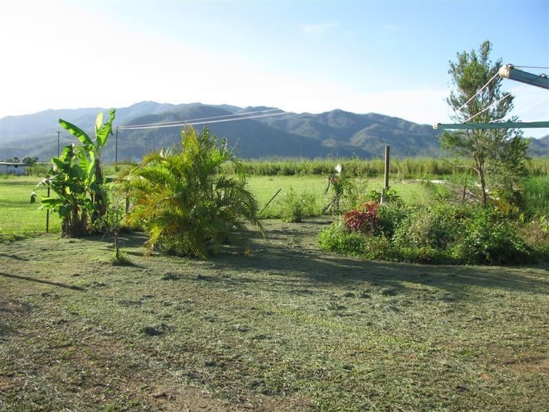 L114 Crossan Road, Midgenoo QLD 4854