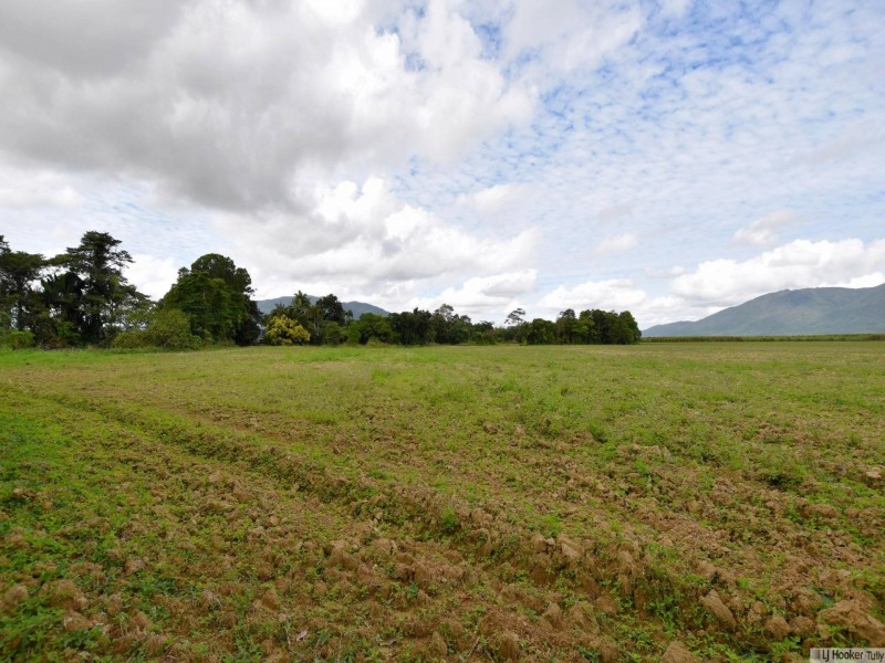 L4 Midgenoo Feluga Road, Feluga QLD 4854