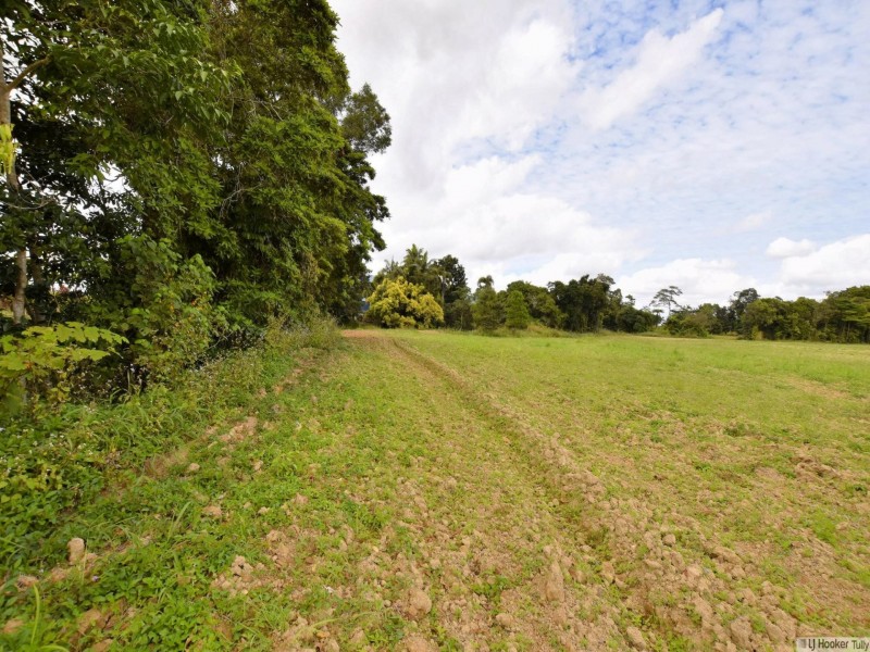 L4 Midgenoo Feluga Road, Feluga QLD 4854