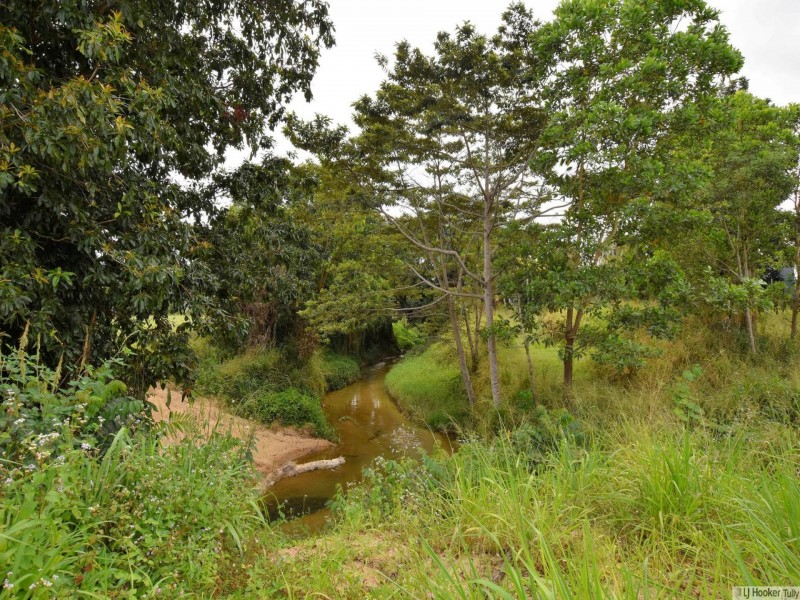 L4 Midgenoo Feluga Road, Feluga QLD 4854