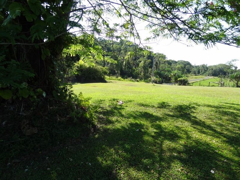 108 Eubenangee Road, Eubenangee QLD 4860