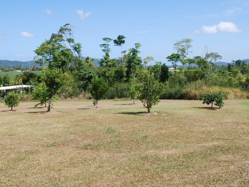 800 Old Tully Road – Djarawong, Tully QLD 4854