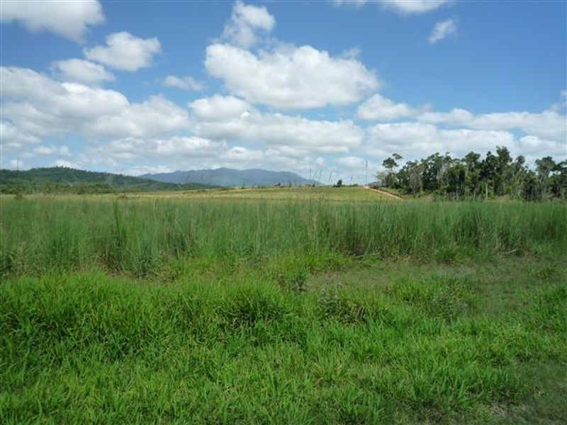 L19 Dargin Road, El Arish QLD 4855