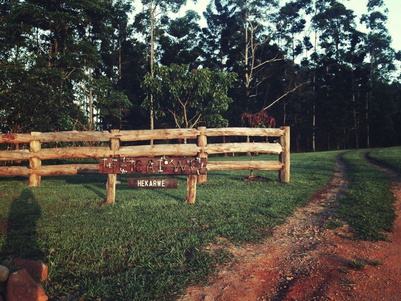 640 Scougall Road, Dingo Pocket QLD 4854