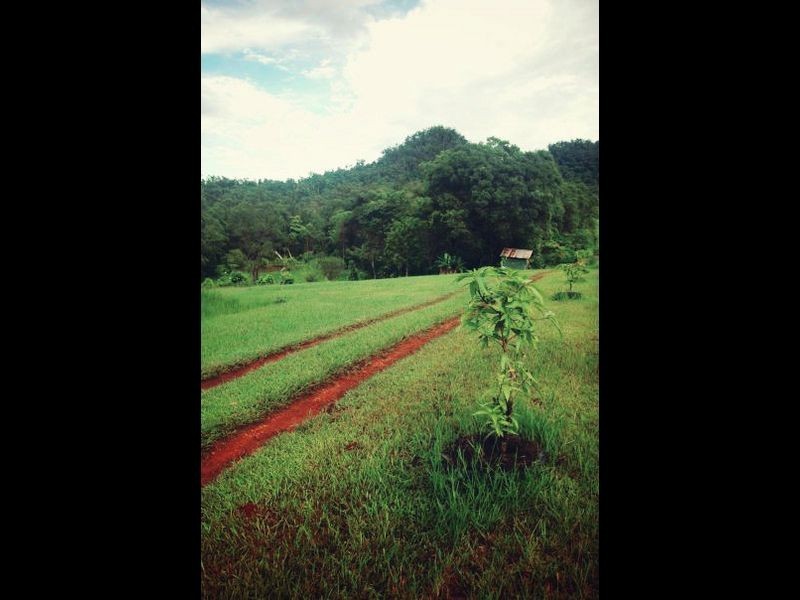 640 Scougall Road, Dingo Pocket QLD 4854