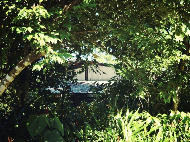 640 Scougall Road, Dingo Pocket QLD 4854