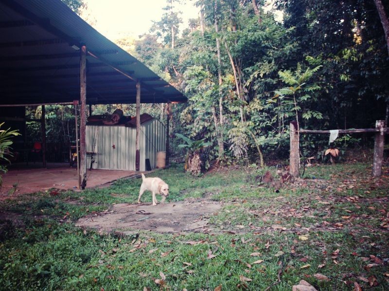 640 Scougall Road, Dingo Pocket QLD 4854