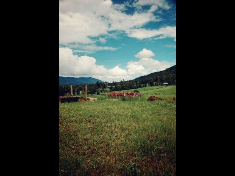 640 Scougall Road, Dingo Pocket QLD 4854