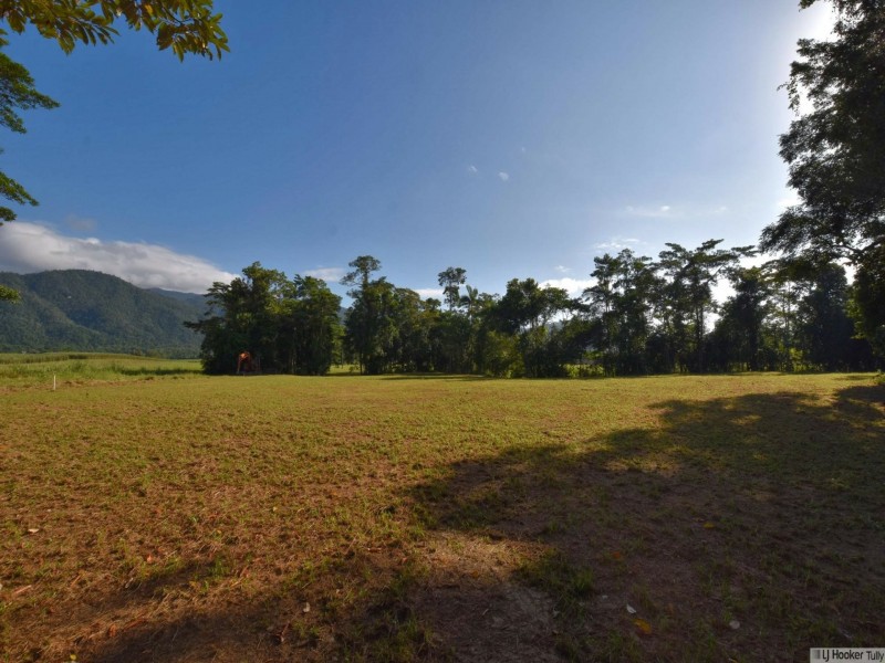 L1 Feluga Road, Feluga QLD 4854