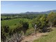 146 Watler Lever Rd, Silkwood QLD 4856