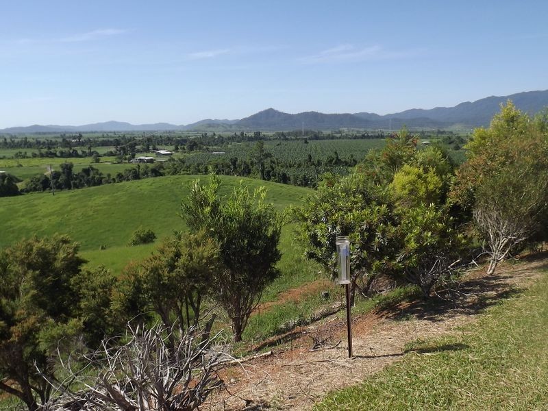 146 Watler Lever Rd, Silkwood QLD 4856