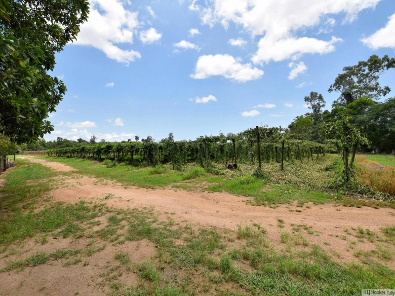 Lot 1/144 Old Cardwell Road, Bilyana QLD 4854