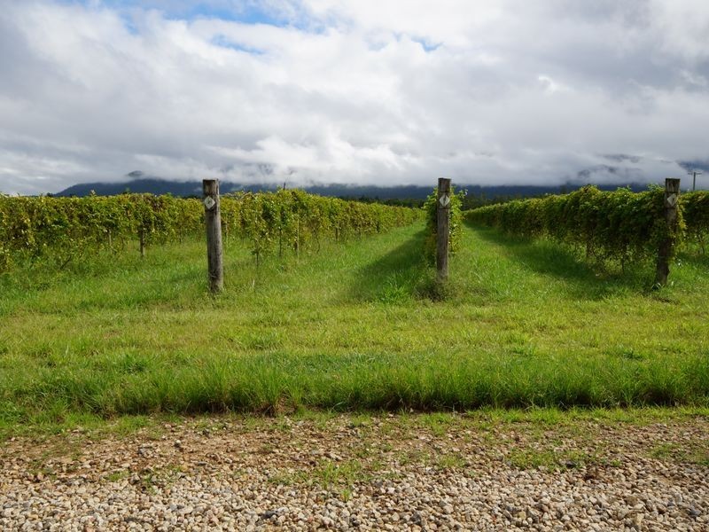 Lot 6 Tully Gorge Road, Dingo Pocket QLD 4854