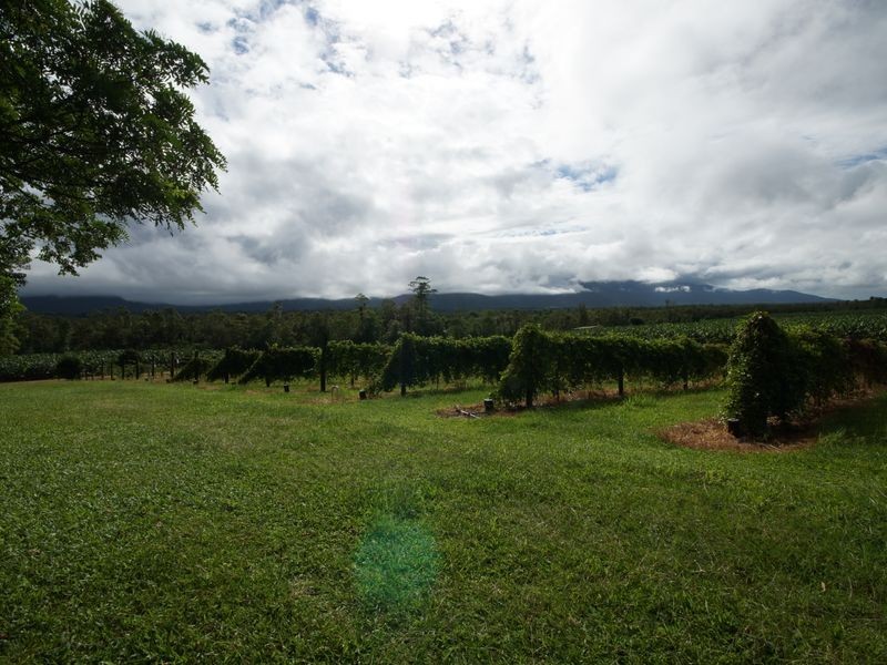 Lot 6 Tully Gorge Road, Dingo Pocket QLD 4854