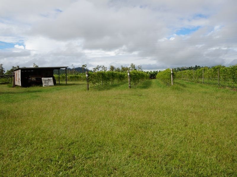 Lot 6 Tully Gorge Road, Dingo Pocket QLD 4854