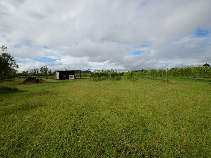 Lot 6 Tully Gorge Road, Dingo Pocket QLD 4854