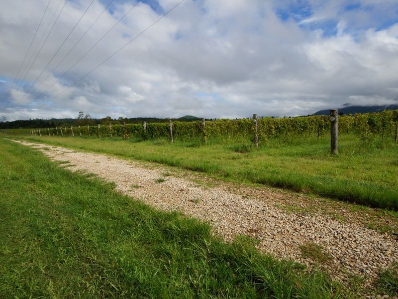 Lot 6 Tully Gorge Road, Dingo Pocket QLD 4854