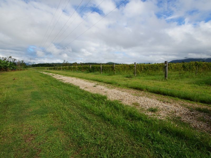 Lot 6 Tully Gorge Road, Dingo Pocket QLD 4854