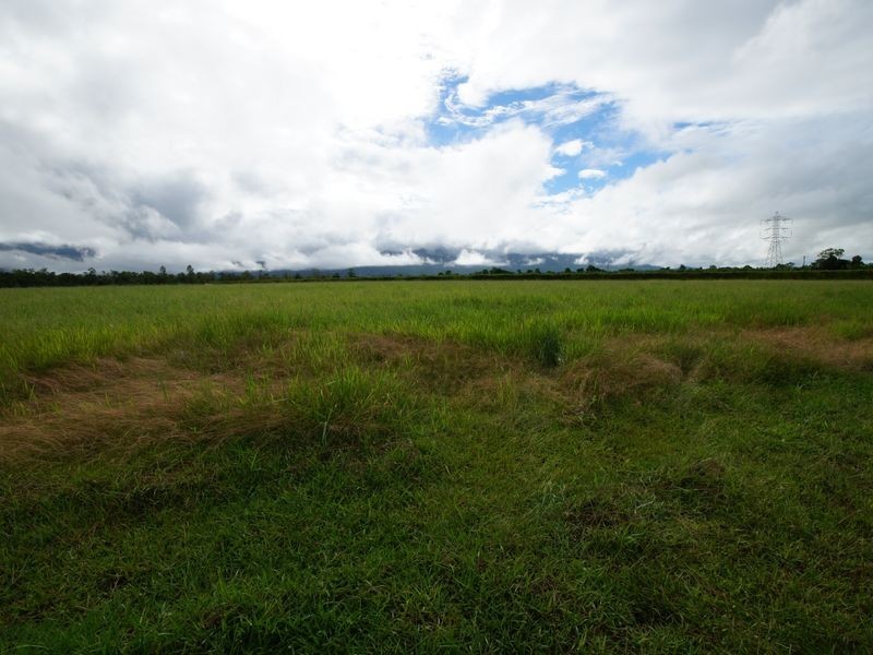 Lot 6 Tully Gorge Road, Dingo Pocket QLD 4854