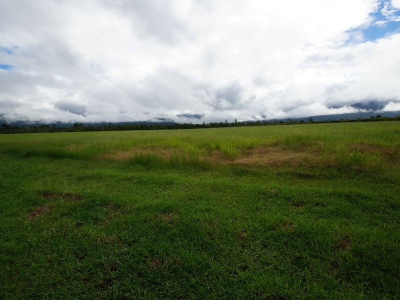 Lot 6 Tully Gorge Road, Dingo Pocket QLD 4854