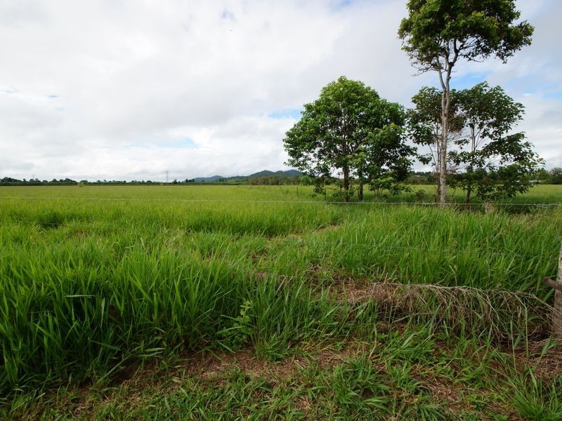 Lot 6 Tully Gorge Road, Dingo Pocket QLD 4854