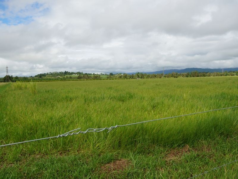Lot 6 Tully Gorge Road, Dingo Pocket QLD 4854