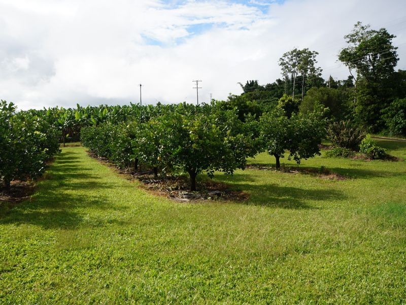 54 Kinjun Road, Tully QLD 4854