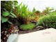 20 Wilson Street, El Arish QLD 4855