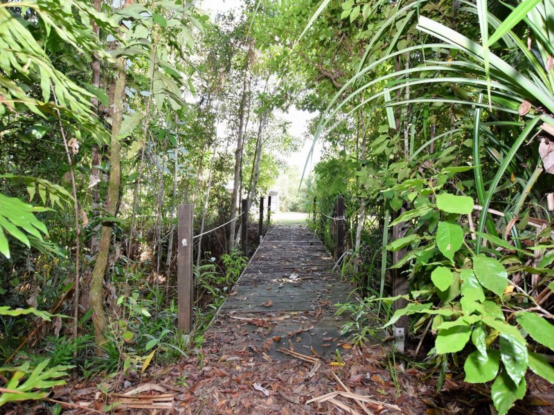 141 Banfield Road, Granadilla QLD 4855