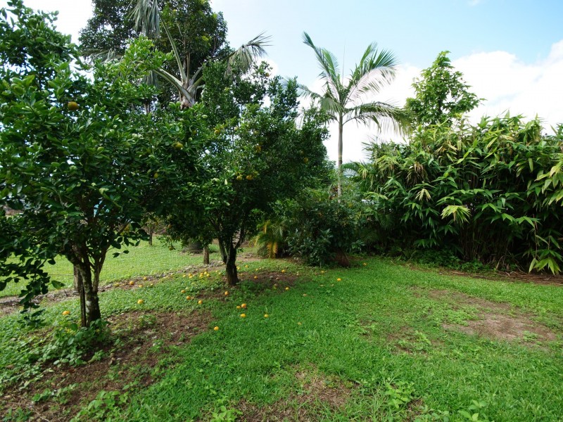 8 Brannigan Street, Tully QLD 4854