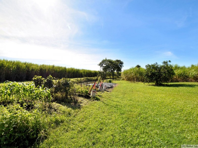 64 Brosnan Road, Lower Tully QLD 4854