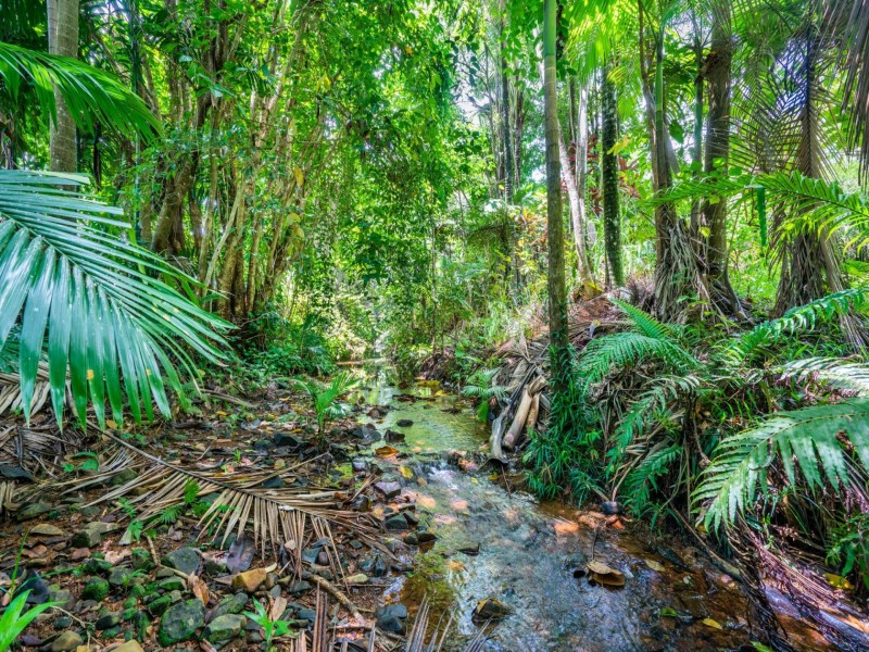 LOT 1 Meuanbah Road, Bombeeta QLD 4871