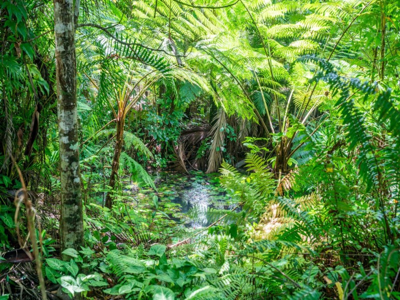 LOT 1 Meuanbah Road, Bombeeta QLD 4871