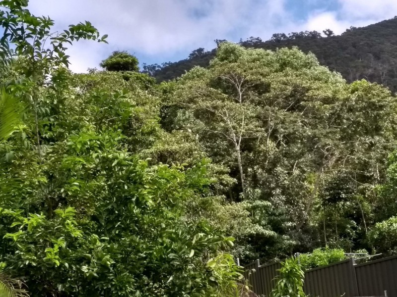 12 Geddes Street, Tully QLD 4854