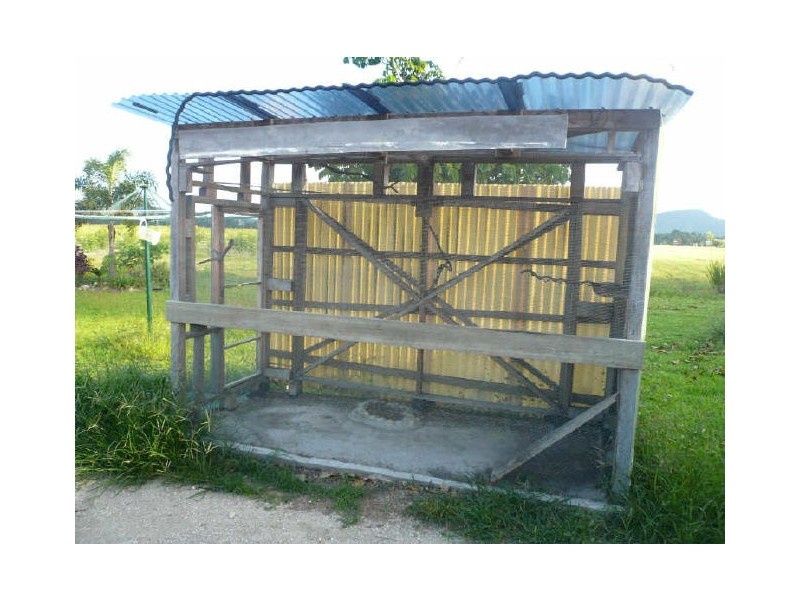 El Arish QLD 4855