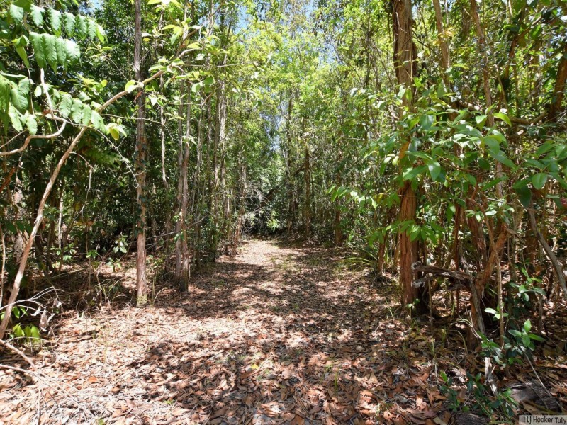 L1 Bruce Highway, Kennedy QLD 4816