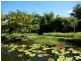 L11 Mullins Road, Jarra Creek QLD 4854