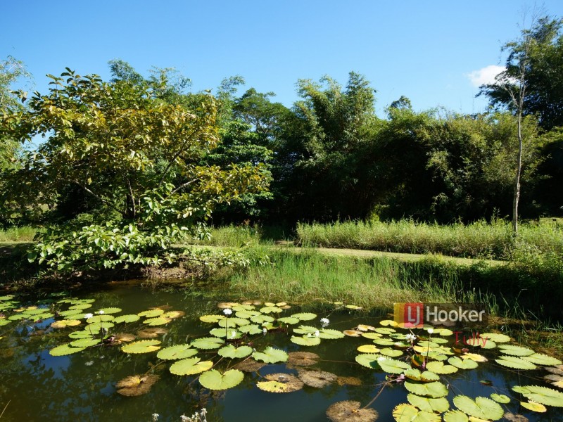 L11 Mullins Road, Jarra Creek QLD 4854