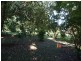 L11 Mullins Road, Jarra Creek QLD 4854