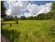 14 Kinjun Road, Dingo Pocket QLD 4854