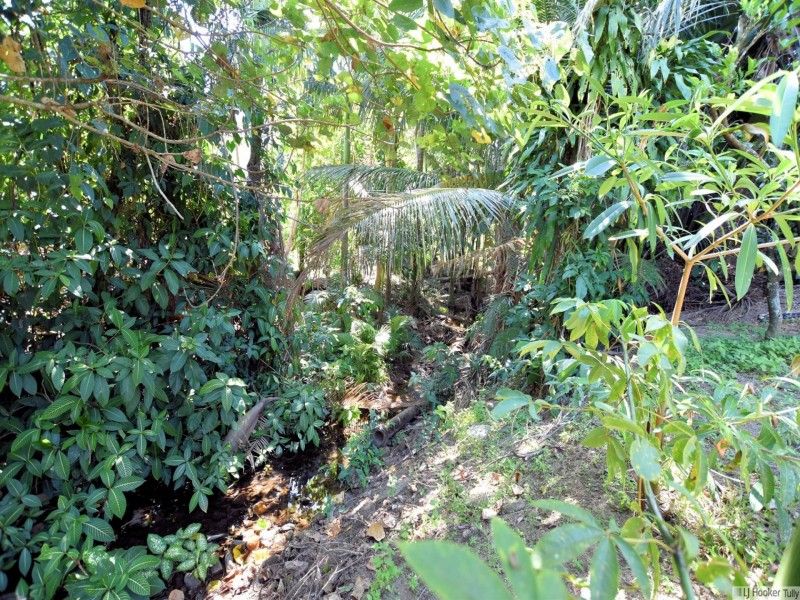 1 Clarke Kennedy Street, Tully QLD 4854