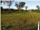 21 Tranquil Court, Cardwell QLD 4849