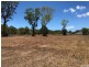 21 Tranquil Court, Cardwell QLD 4849