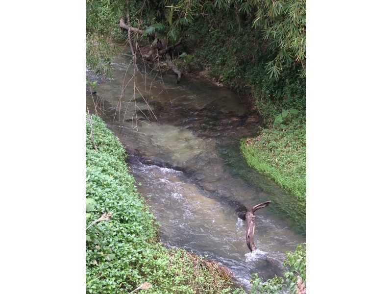 L2 Feluga Road, Feluga QLD 4854