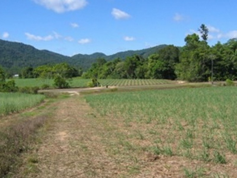 L2 Feluga Road, Feluga QLD 4854