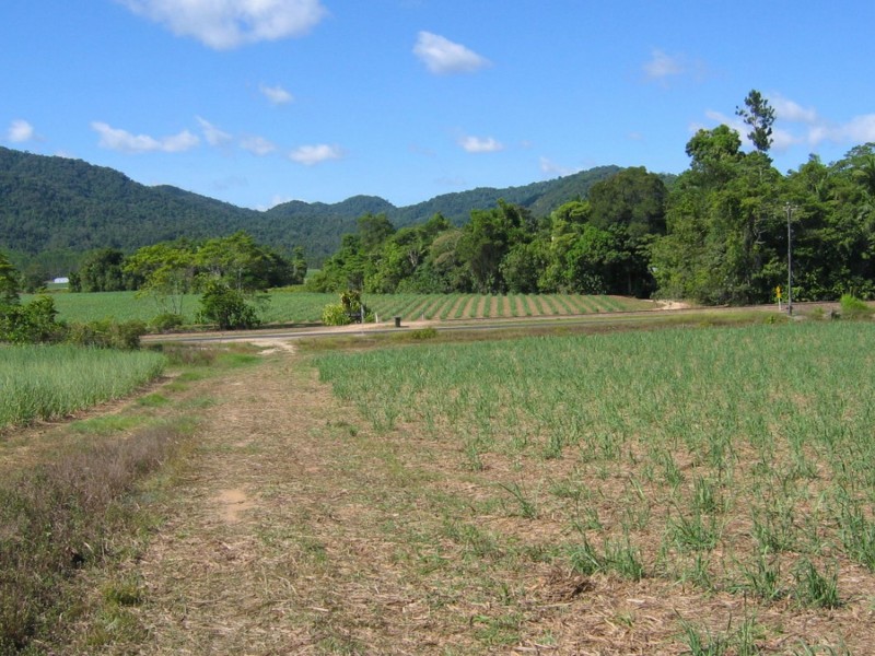 L2 Feluga Road, Feluga QLD 4854