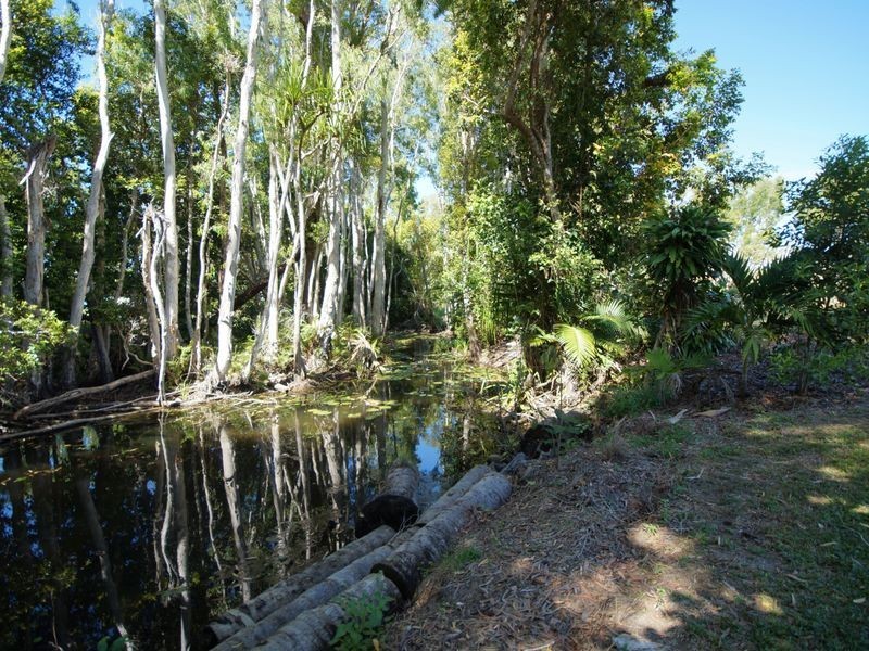 50 Paradise Palm Drive, Tully Heads QLD 4854